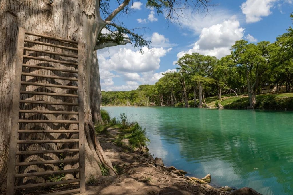 Green water on the Blanco River between cypress-lined banks, wooden steps against a trunk in the foreground