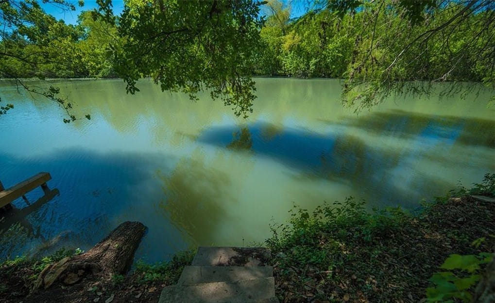 Still green water on Lake Gonzales seen through overhanging branches from a stone bank