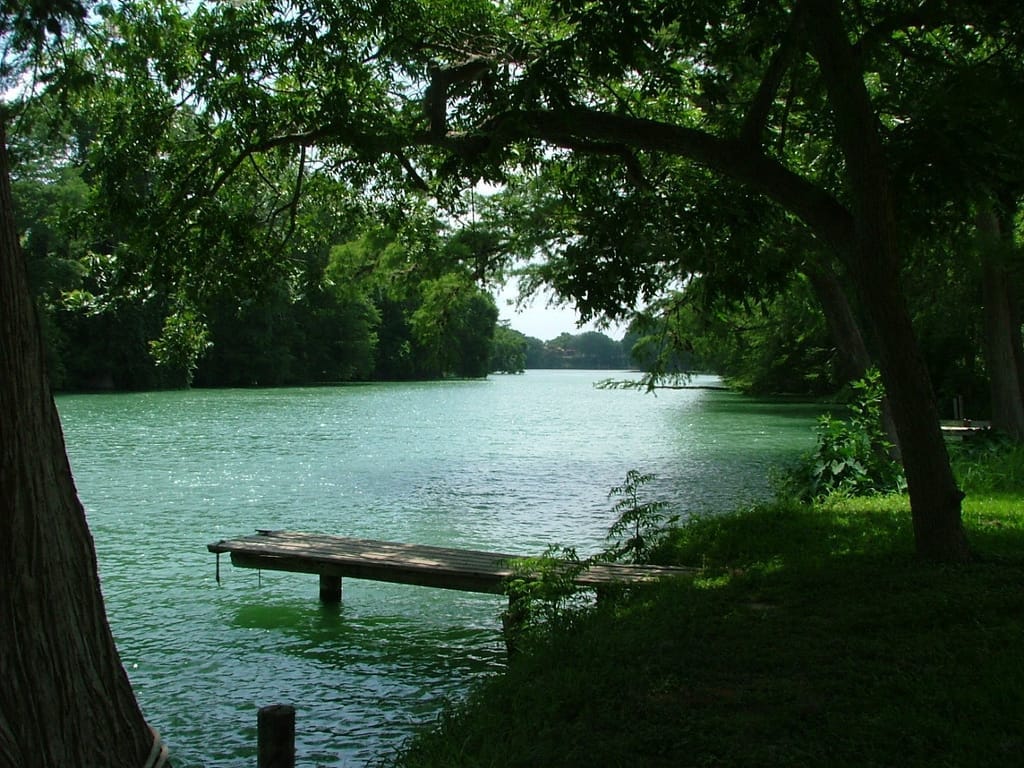 Calm green water at Meadow Lake framed by heavy live oak branches, a wooden dock at the edge